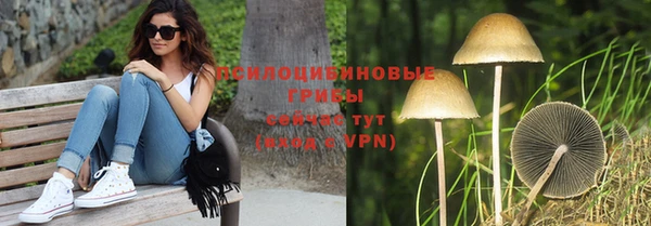гашиш Арсеньев